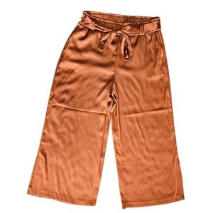 Joie Wide Leg Silky Belted Pants